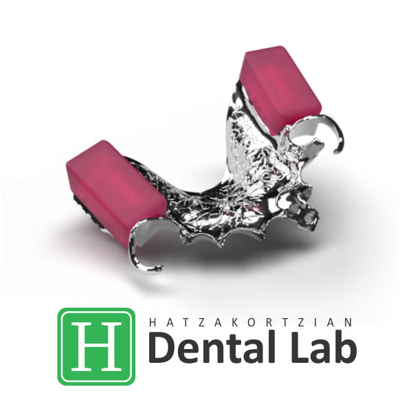 Partial Metal Framework with Bite – Hatzakortzian Dental Lab Inc.